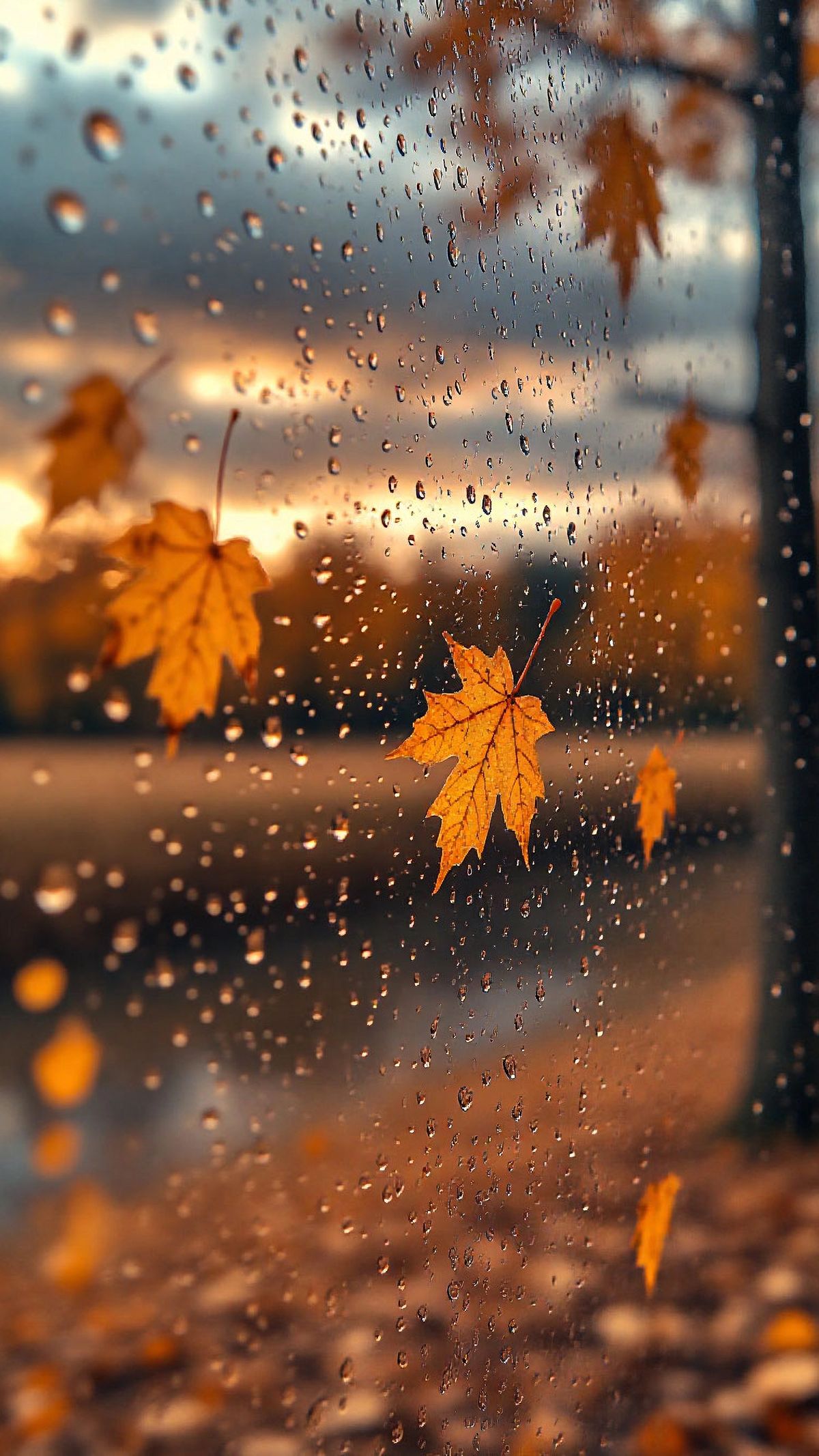 Német közmondások az őszről